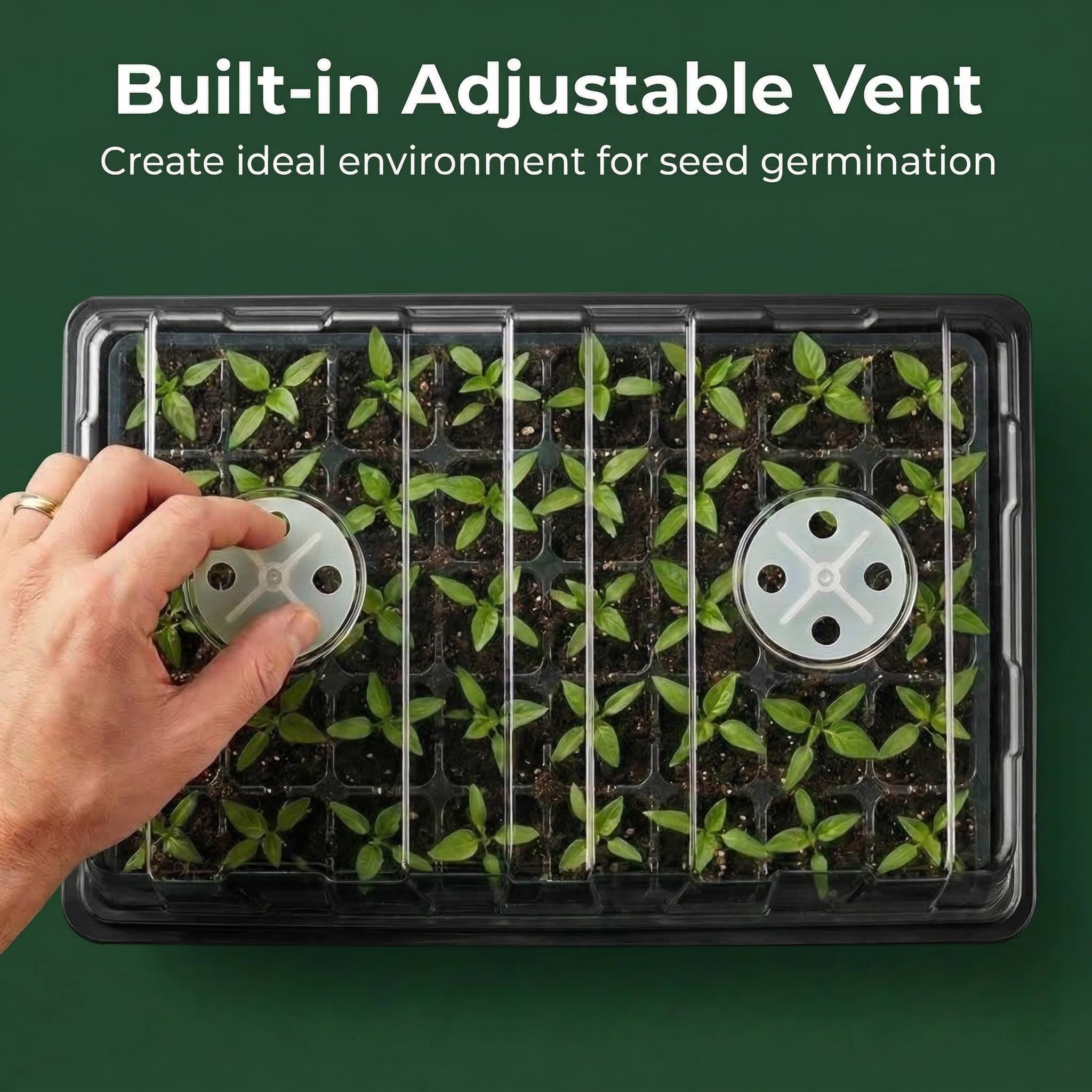 Seed Starter Tray Kit