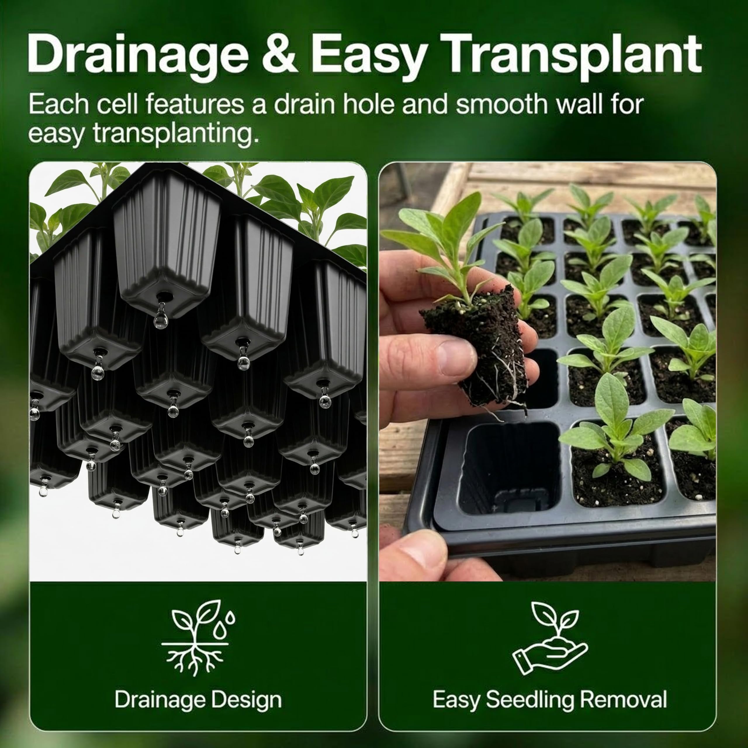 Seed Starter Tray Kit