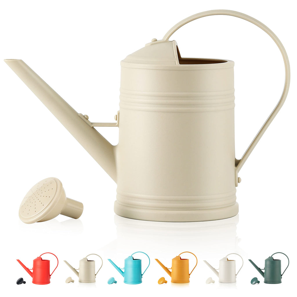 Indoor Plant Watering Can