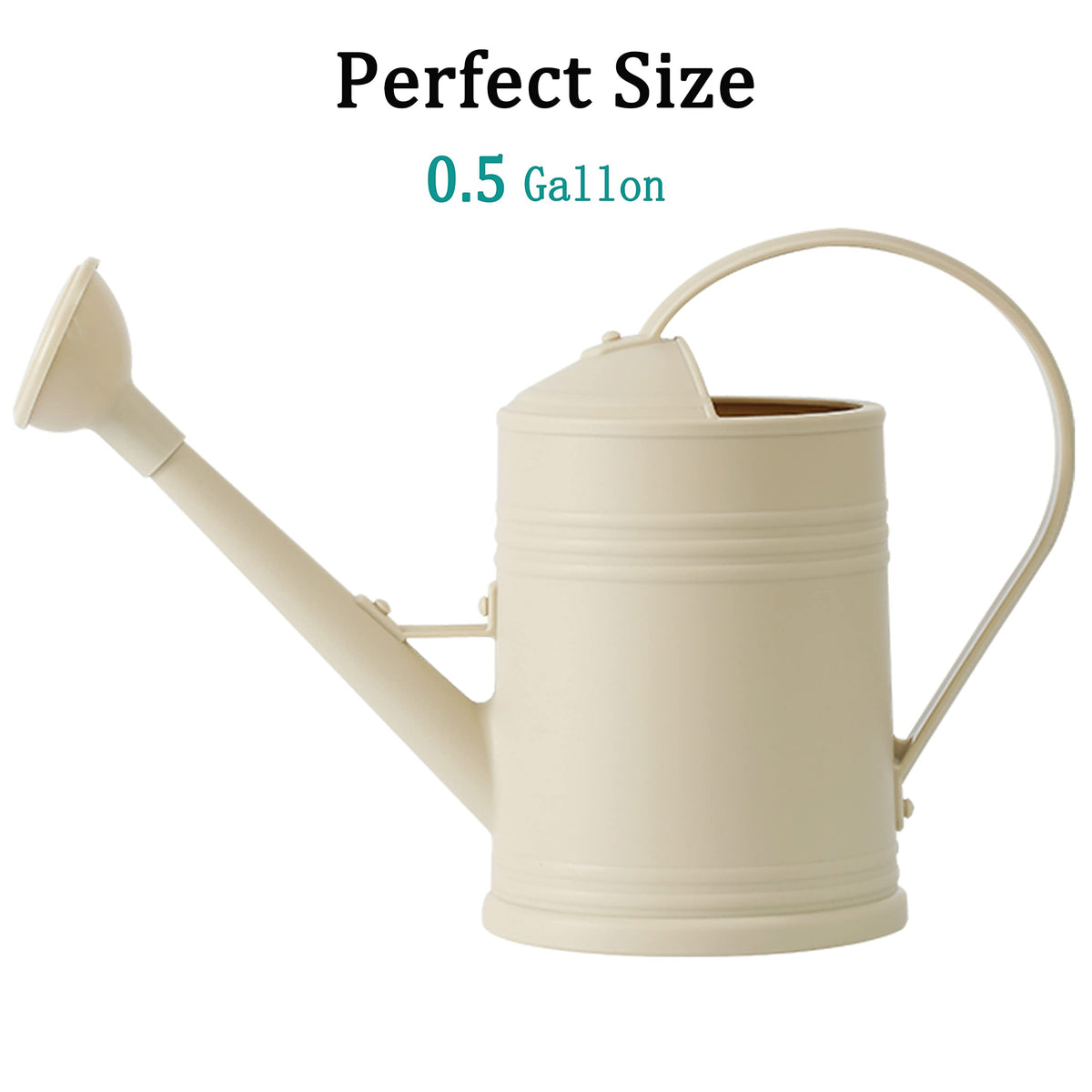 Indoor Plant Watering Can
