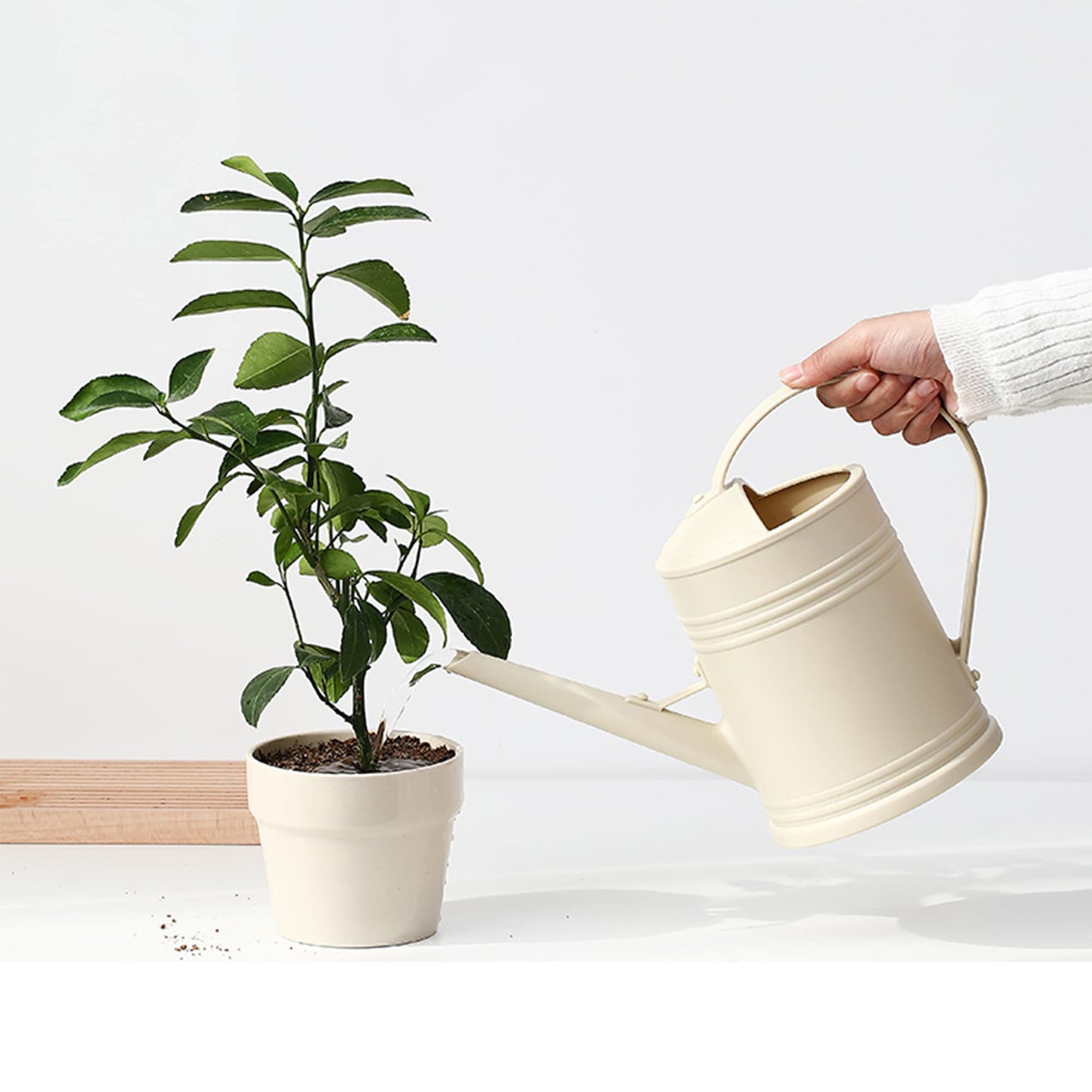 Indoor Plant Watering Can
