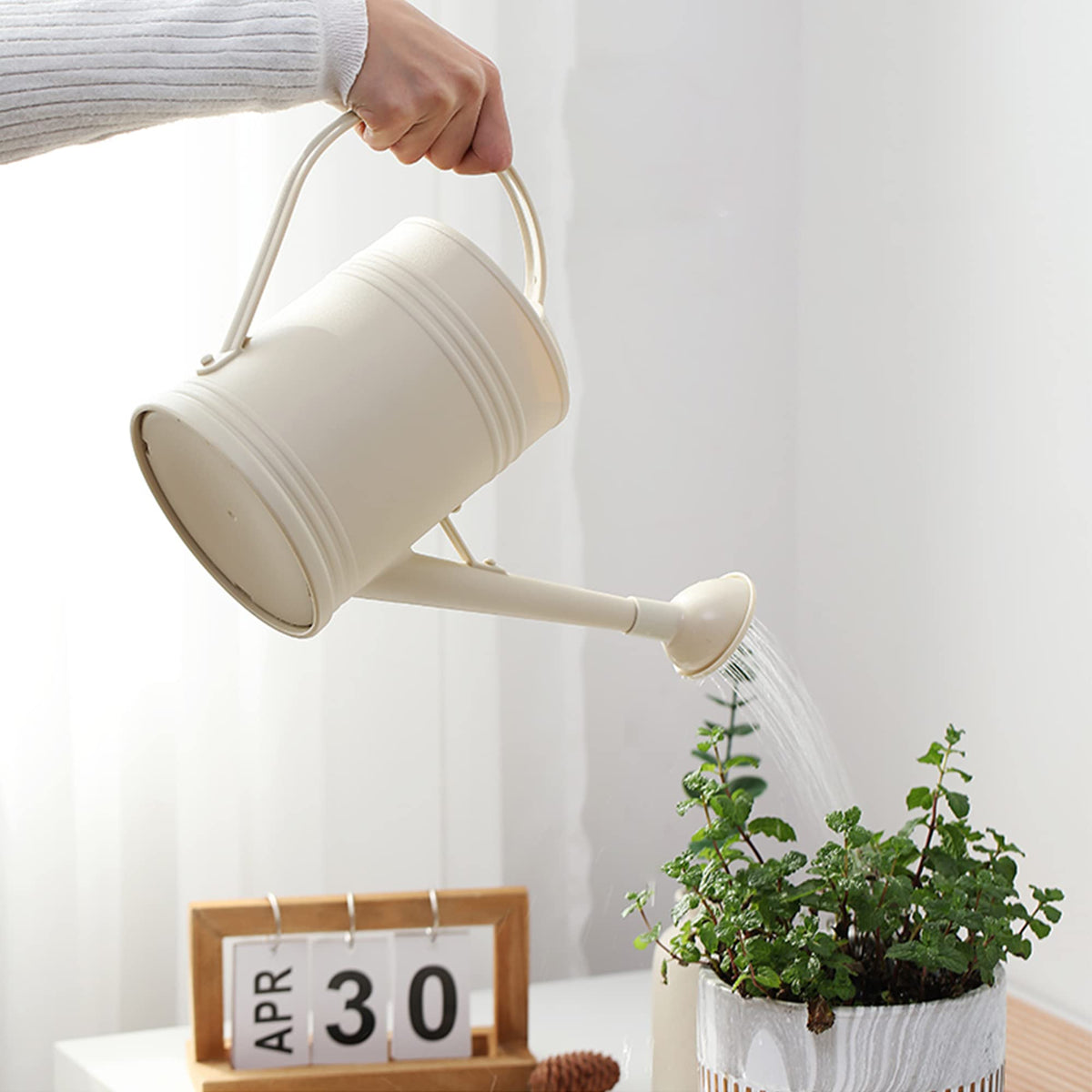 Indoor Plant Watering Can