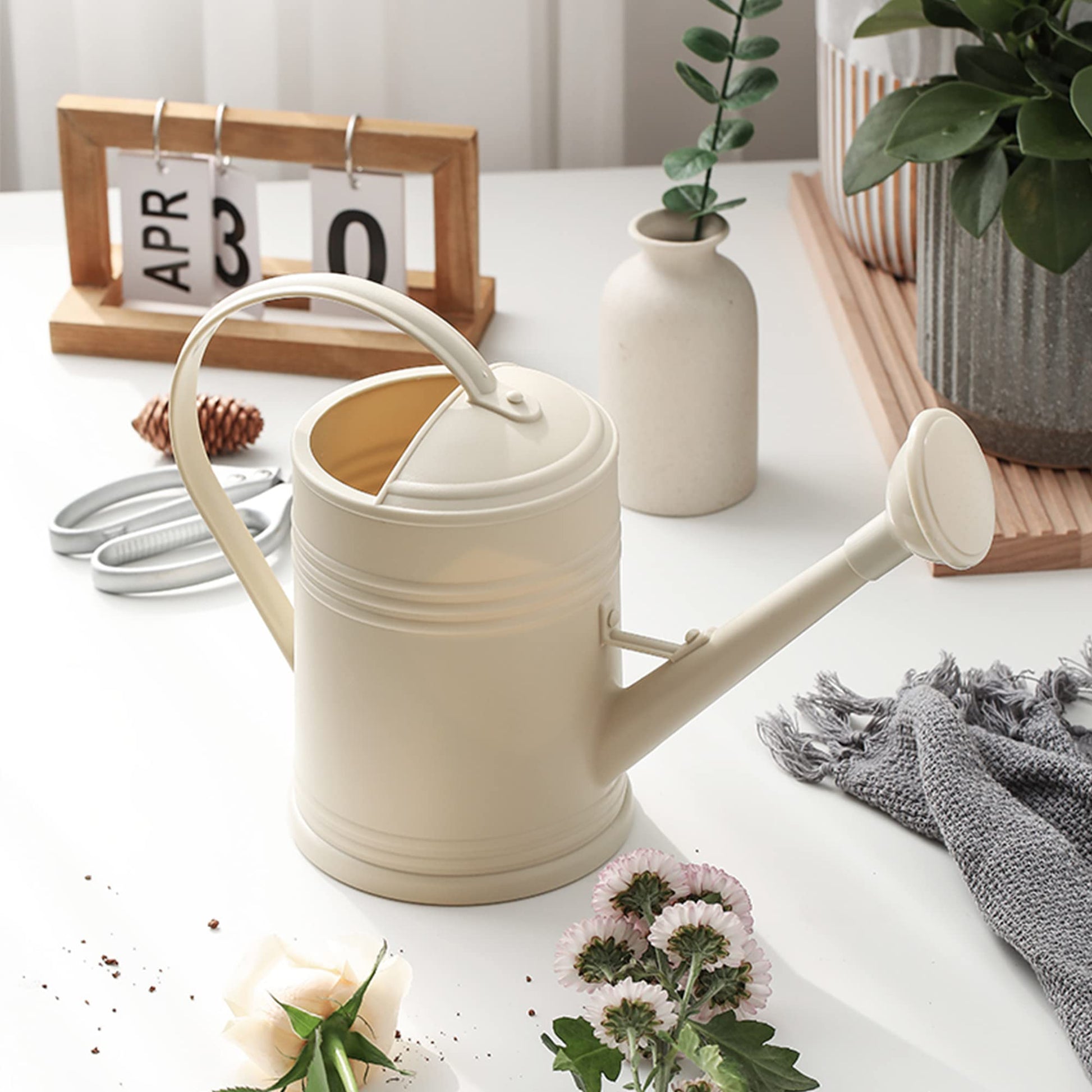 Indoor Plant Watering Can