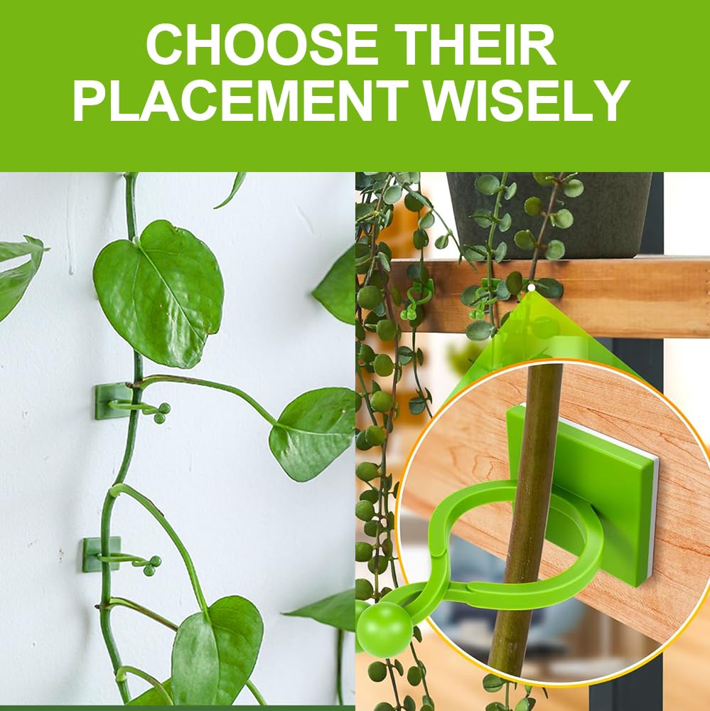 Plant Climbing Support Clips