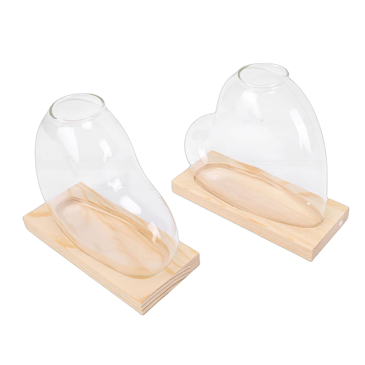 Glass Propagation Vase Set