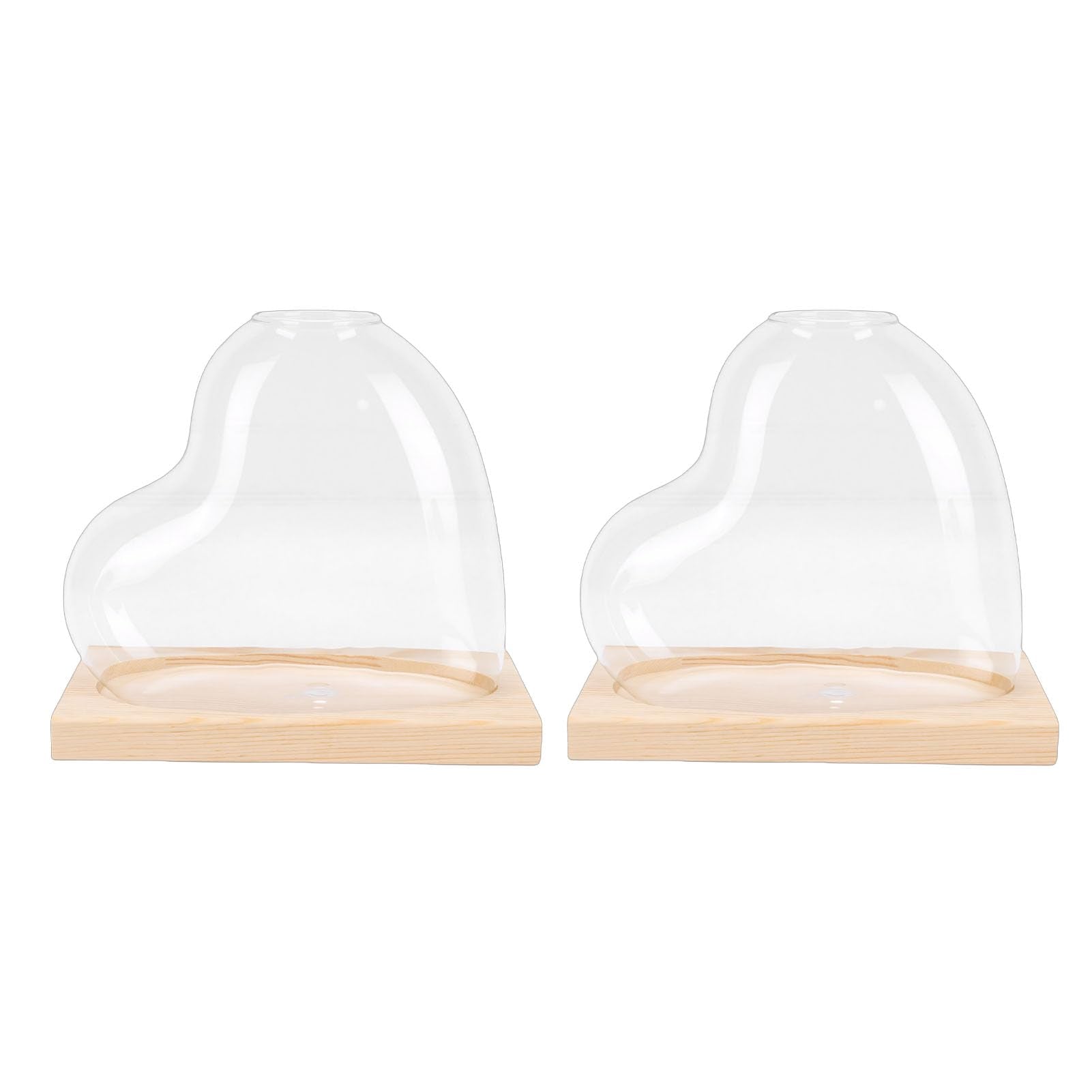 Glass Propagation Vase Set