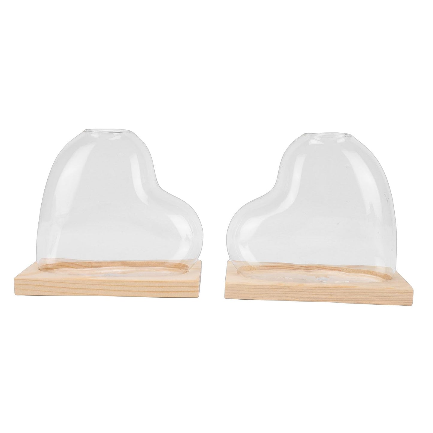 Glass Propagation Vase Set