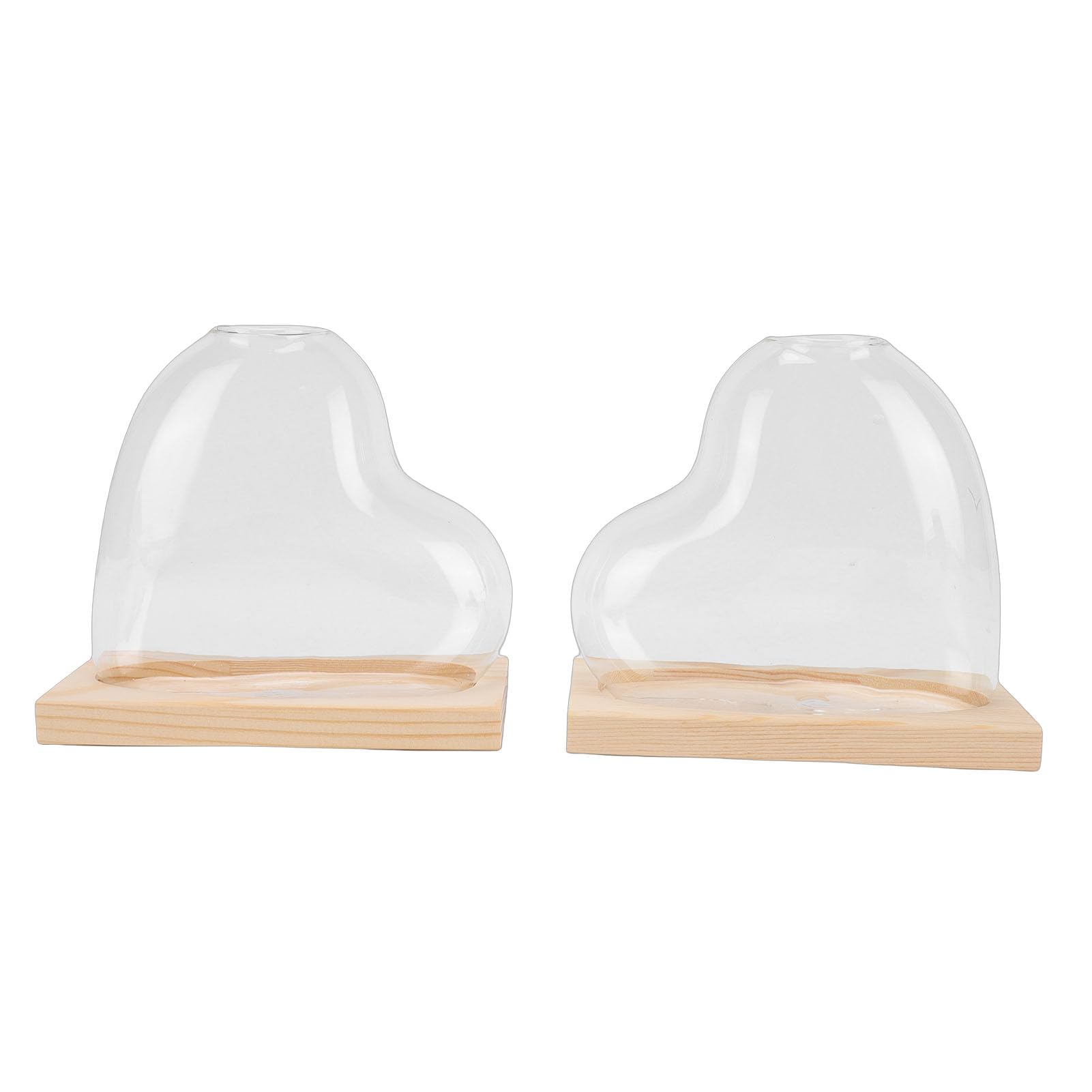 Glass Propagation Vase Set