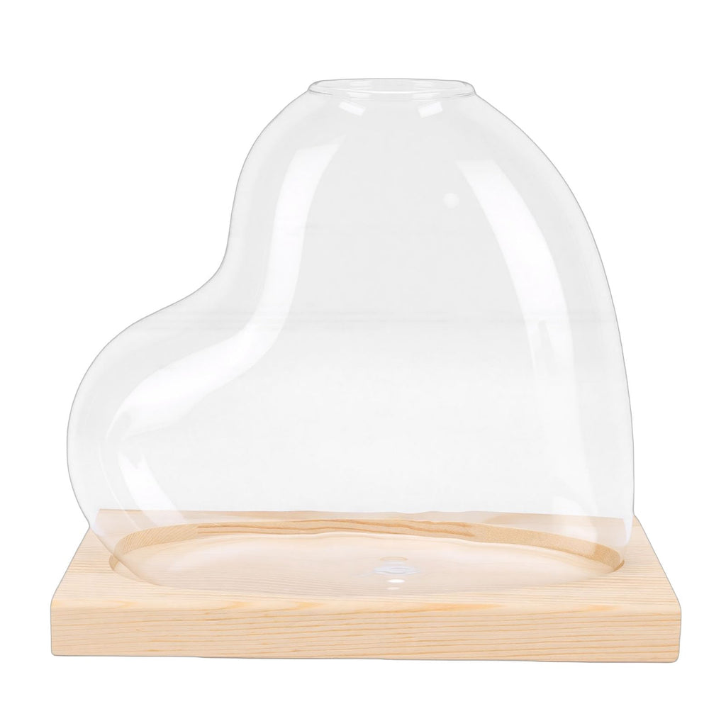Glass Propagation Vase Set