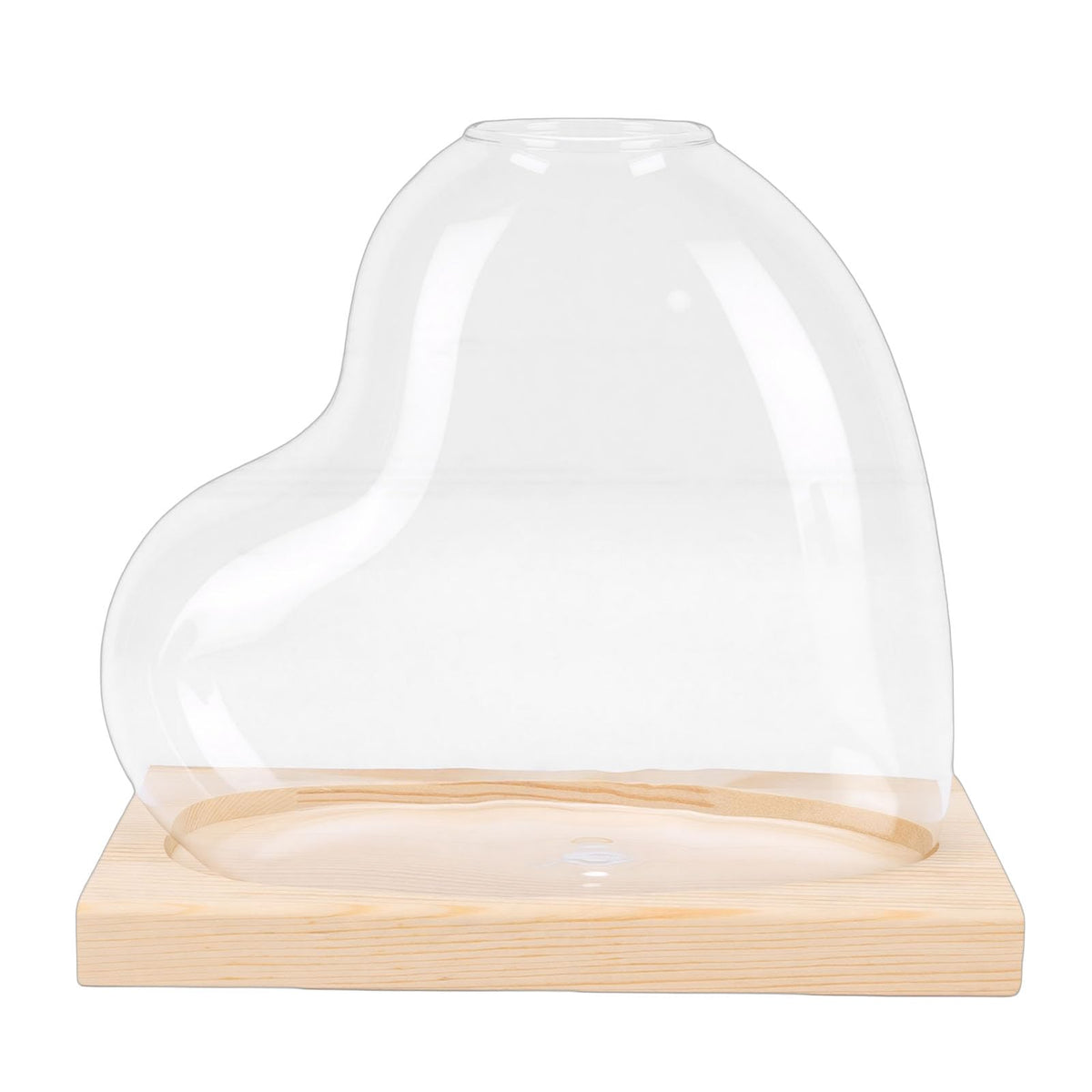 Glass Propagation Vase Set