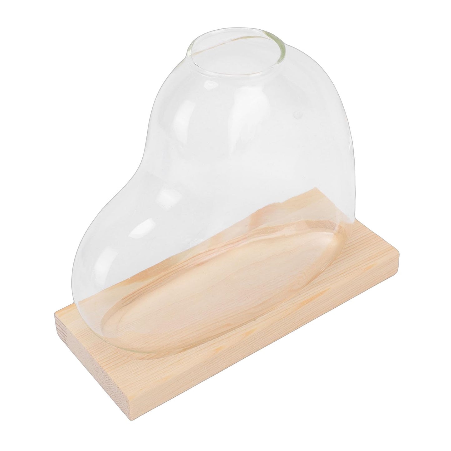 Glass Propagation Vase Set